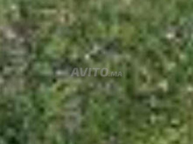 Vente terrain nu
