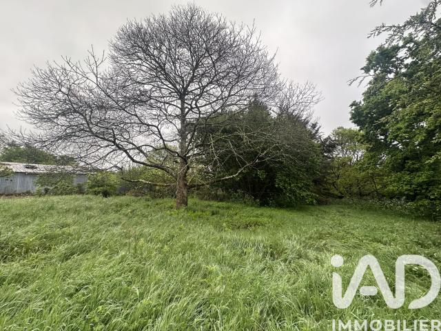 Vente Terrain à bâtir 3 445 m²