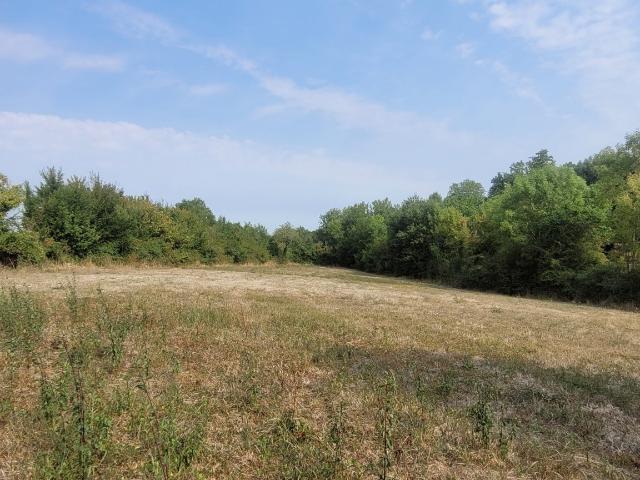 Vente Terrain à bâtir 3 611 m²