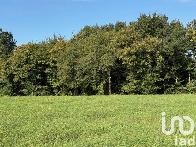 Vente Terrain à bâtir 3 740 m²