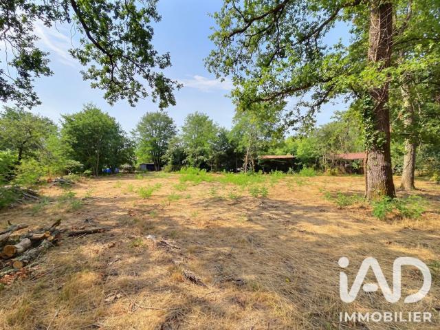 Vente Terrain à bâtir 3 123 m²