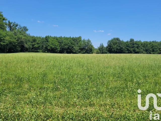 Vente Terrain à bâtir 11 708 m²