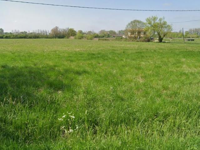 Vente Terrain à bâtir 17 424 m²