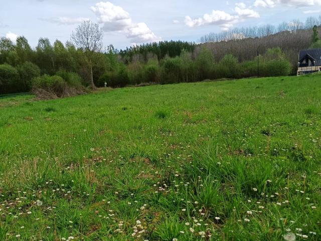Vente Terrain à bâtir 1 459 m²