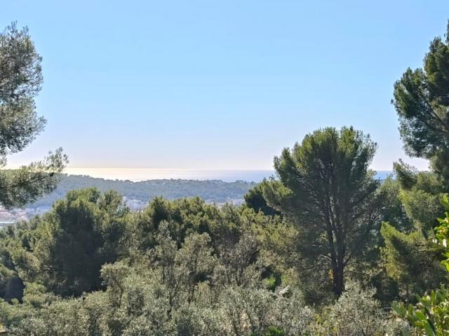 Vente Terrain à bâtir 1 005 m²