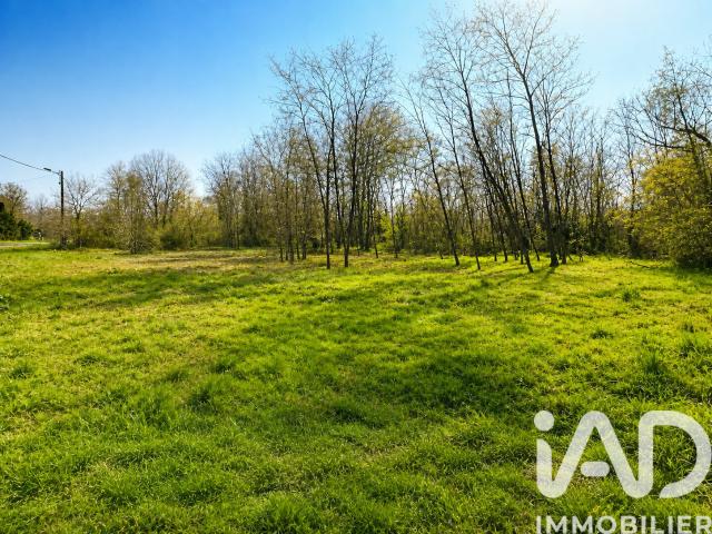 Location Bureaux 180 m²