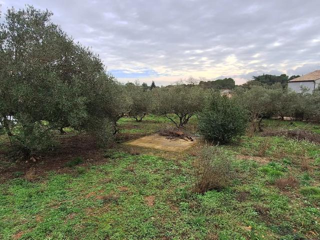 Vente Terrain à bâtir 1 114 m²