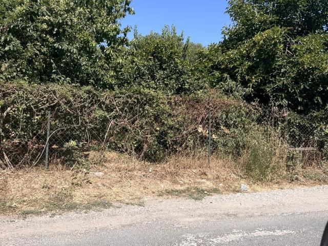 Vente Terrain à bâtir 1 165 m²
