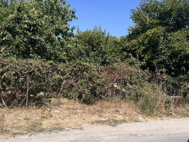 Vente Terrain à bâtir 1 165 m²