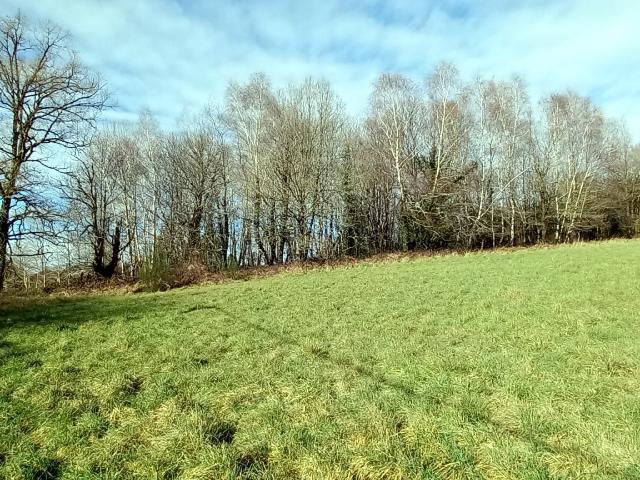 Vente Terrain à bâtir 2 707 m²