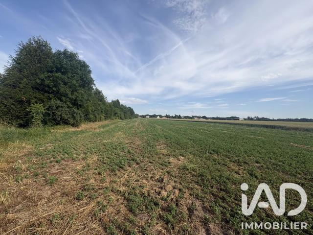 Vente Terrain à bâtir 2 813 m²