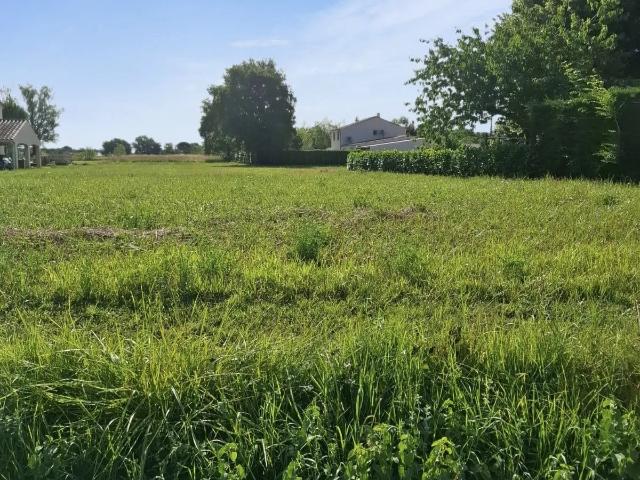 Vente Terrain à bâtir 2 289 m²