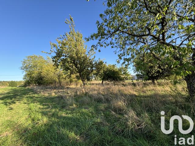 Vente Terrain à bâtir 2 344 m²