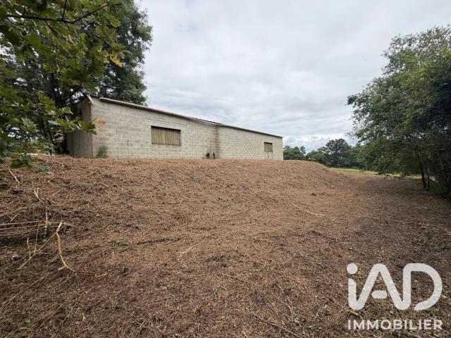 Vente Terrain à bâtir 2 356 m²