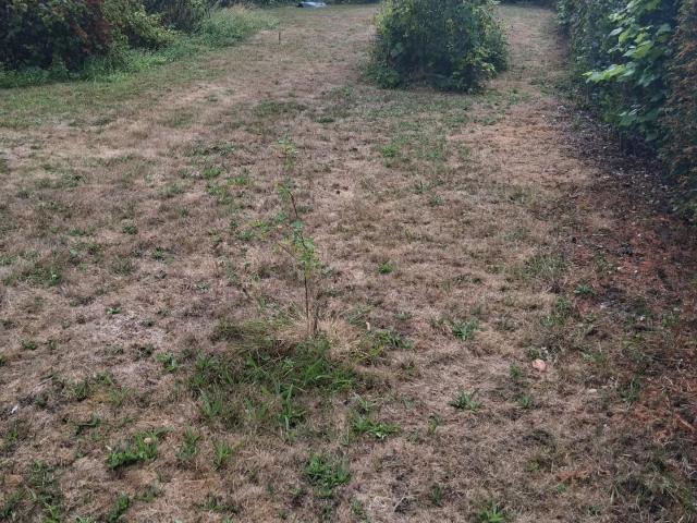 Vente Terrain à bâtir 300 m²