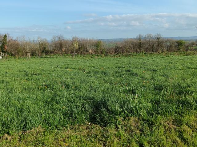Vente Terrain à bâtir 415 m²