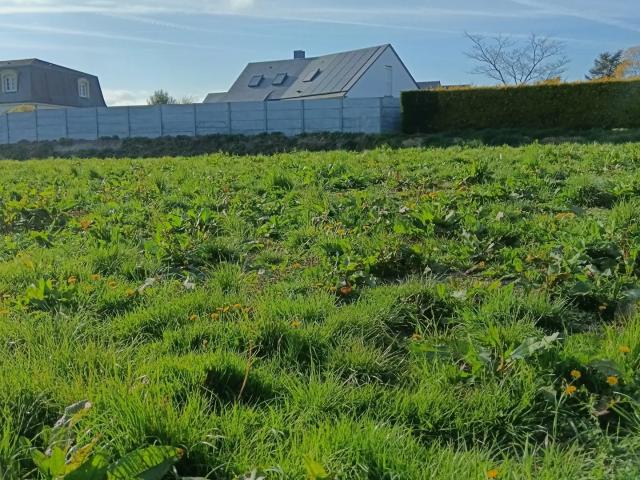 Vente Terrain à bâtir 460 m²