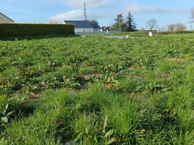 Vente Terrain à bâtir 475 m²