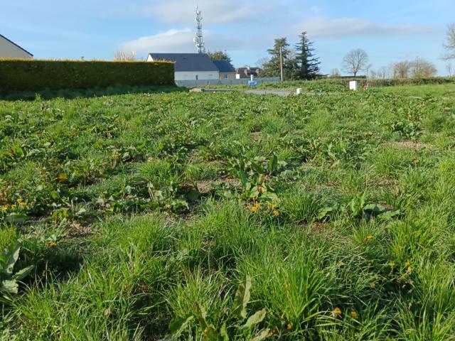 Vente Terrain à bâtir 475 m²
