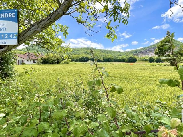 Vente Terrain à bâtir 4 300 m²