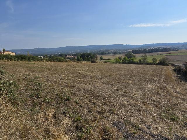 Vente Terrain à bâtir 4 317 m²