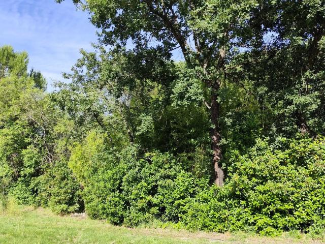 Vente Terrain à bâtir 500 m²