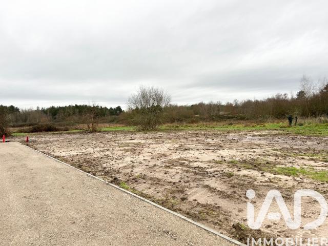 Vente Terrain à bâtir 503 m²