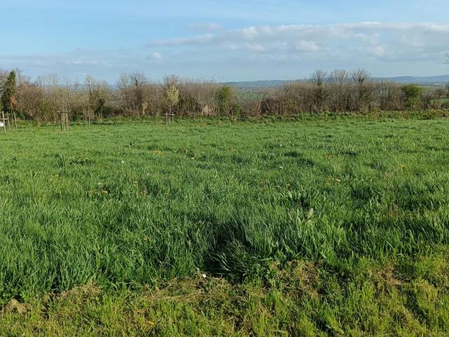 Vente Terrain à bâtir 583 m²