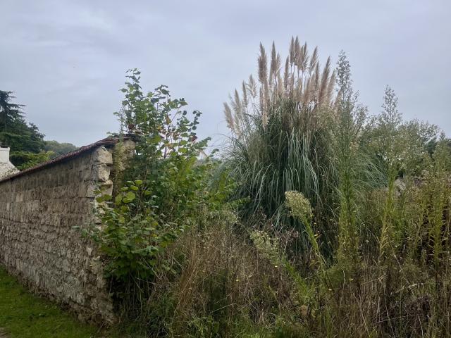 Vente Maison/villa 3 pièces