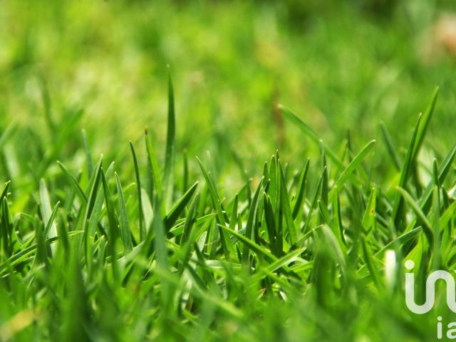 Vente Terrain à bâtir 877 m²
