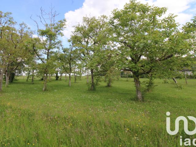 Vente Terrain à bâtir 980 m²