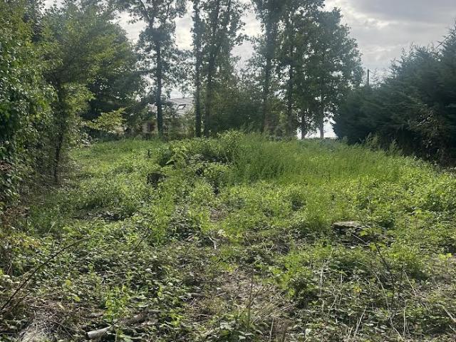 Vente Terrain à bâtir 980 m²