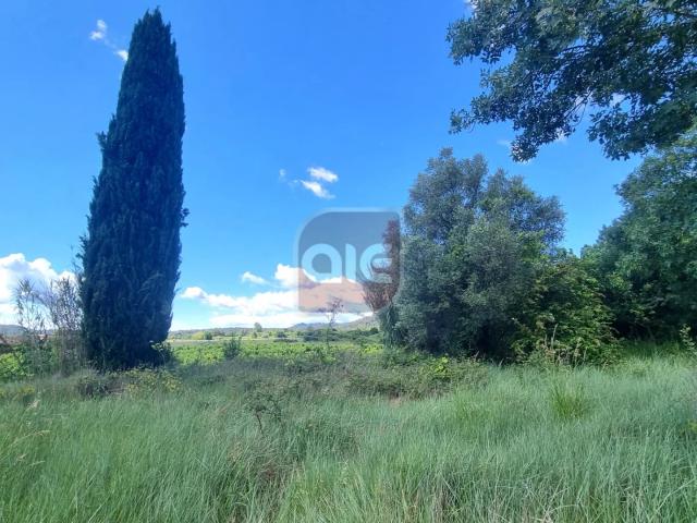 VENTE TERRAIN A BATIR LAURET