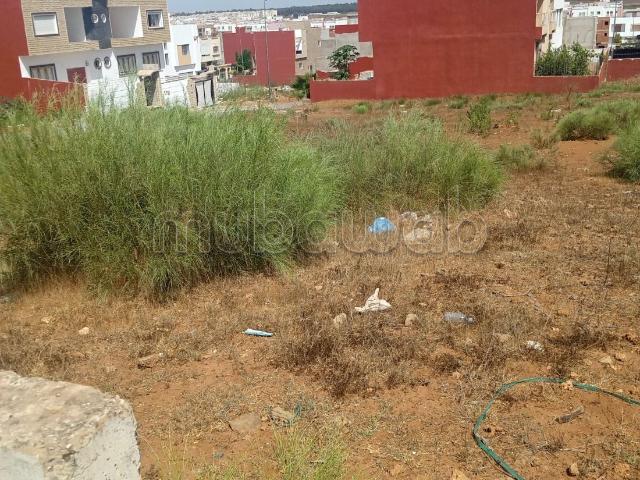 Vente terrain à Mehdia. Superficie 320 m²