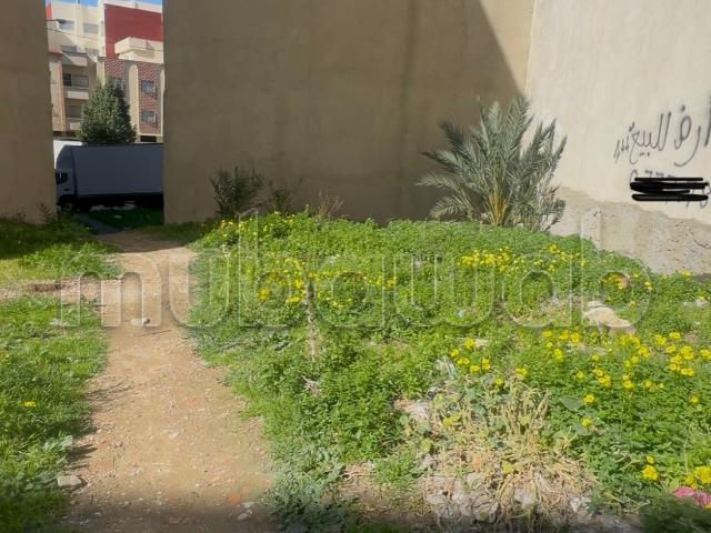 Vente terrain à Mhgorgha. Surface de 144 m²