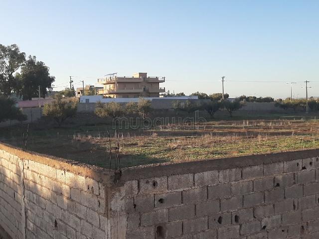 Vente terrain à Route ain Chkaf. Surface de 10000 m²