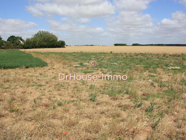 Vente Terrain Nemours