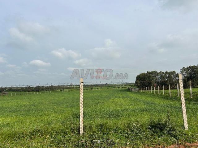 Vente Terrain agricole à Bir Jdid