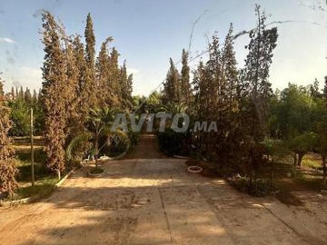 Vente Terrain agricole à Marrakech