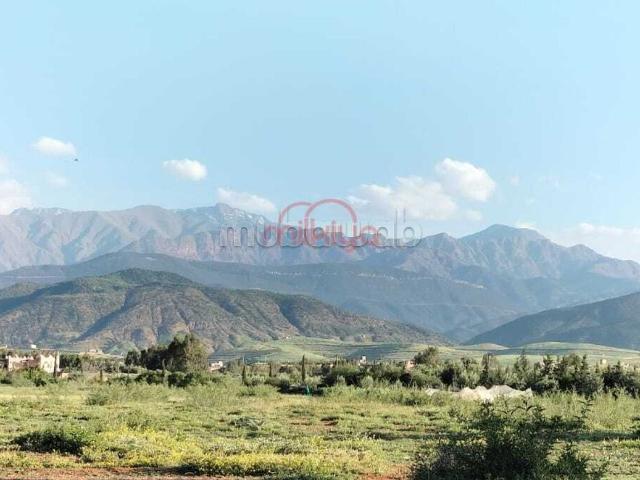 Vente Terrain agricole à route de tahanaoute