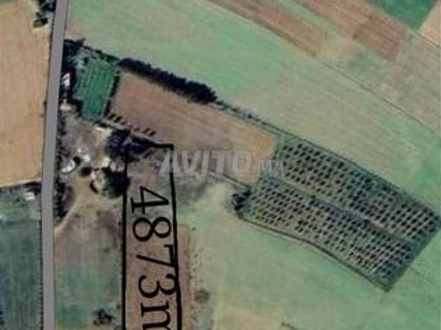 Vente terrain agricole région Sidi Abd Razzak, Khzazna