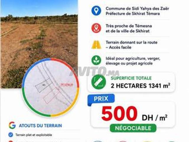 Vente terrain agricole Sidi Yahya Zaer