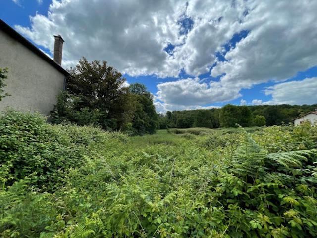 Vente Terrain agricole 15973 m2 Saint Priest sous Aixe