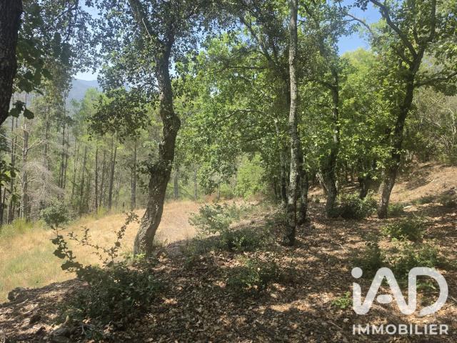 Vente Terrain agricole 17 774 m²