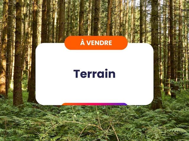 Vente Terrain agricole 1995 m2 Saint Hippolyte
