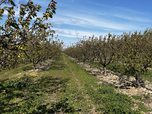 Vente Terrain agricole 103 160 m²