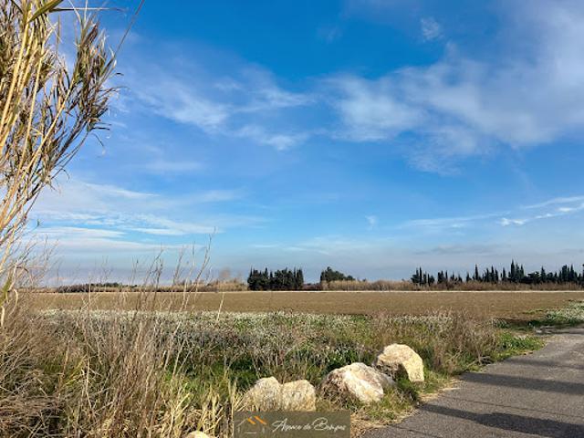 Vente Terrain agricole 11155 m2 Saint Hippolyte