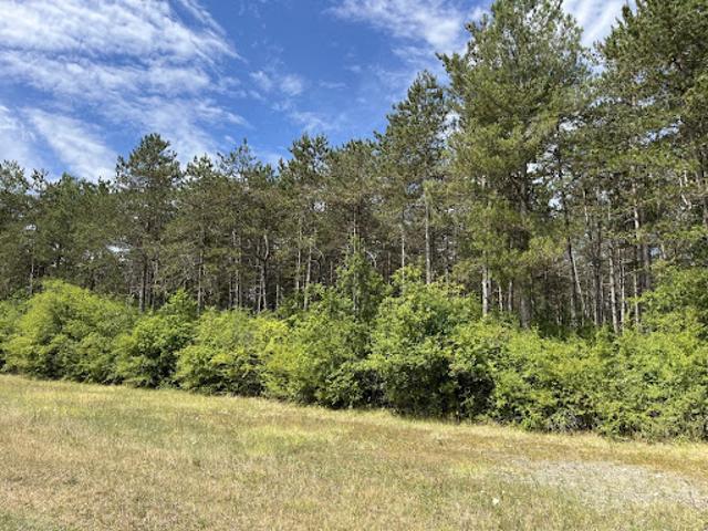 Vente Terrain agricole 1220000 m2 Nogent sur Vernisson