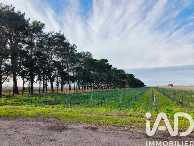 Vente Terrain agricole 1 140 000 m²