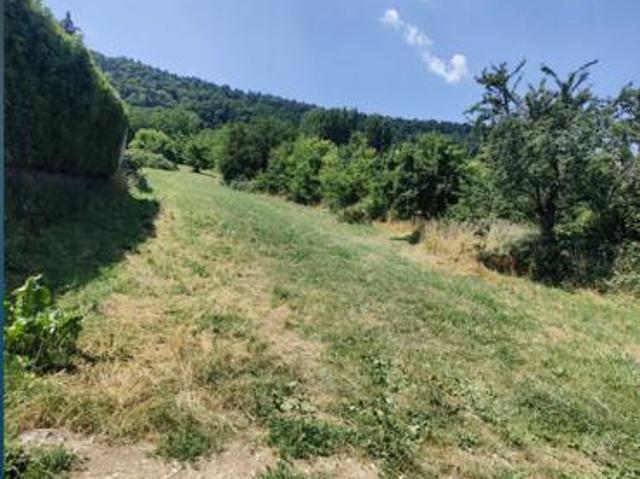 Vente Terrain agricole 1 299 m²
